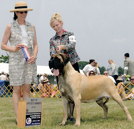 Callie's first major!