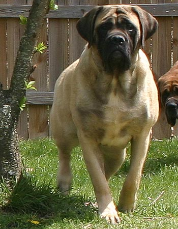Ellie Mae at 12 months.