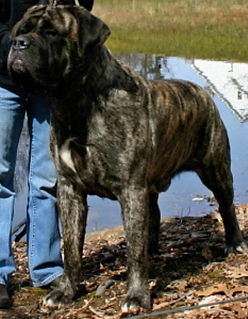 Ferguson at 24 months.