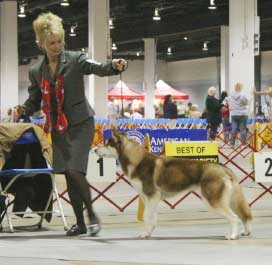 Kim and Lula in the ring