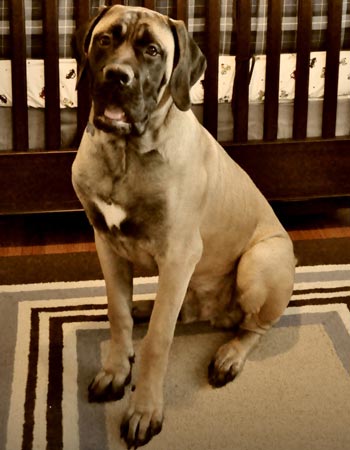 otis